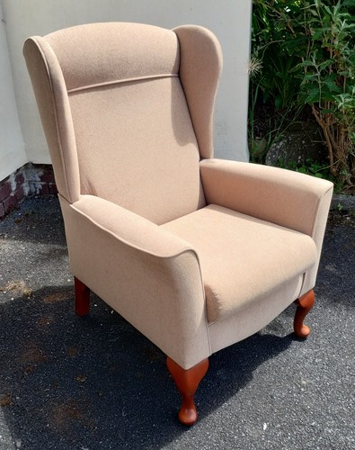 Armchair wing back neutral - wing,