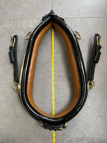 English full collar - english,