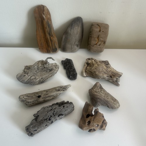 Unique driftwood pieces - driftwood,