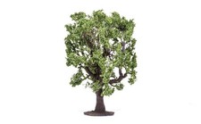 Hornby Oak Tree Model Railway
