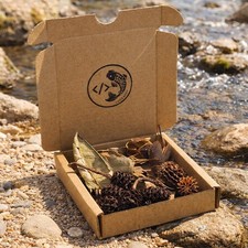 Aquarium Botanical Starter Box
