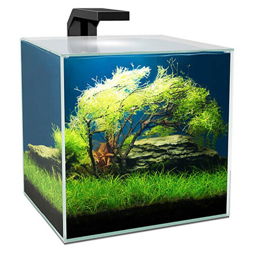 Ciano cube aquarium with - ciano,