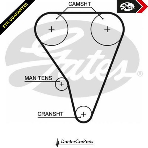 Cam timing belt - for, 800