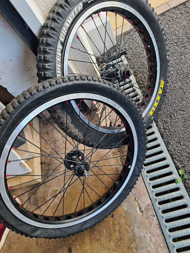 20in trials bike wheel - 20in, set