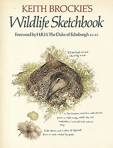Keith brockie wildlife - keith, brockie's