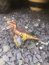 Official BBC Earth Walking