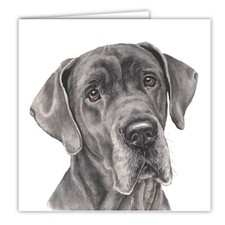 Great Dane greetings card dog