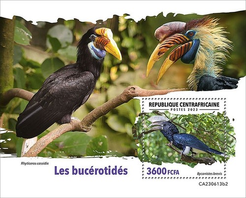 Hornbills birds hornbill bird - birds,