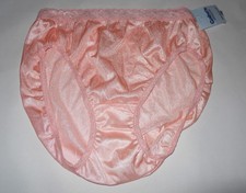 Womens Hanes Nylon Brief