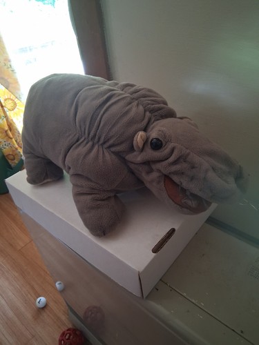 Ncis bert the farting hippo - ncis,