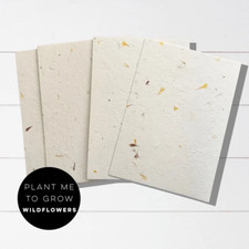 Eco-Friendly Seeded Paper