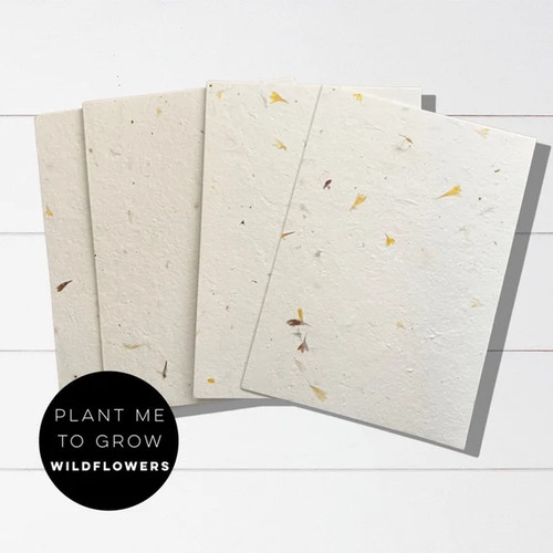 Eco friendly seeded paper - eco-friendly,