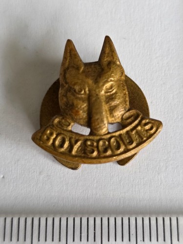Vintage boy scouts wolf - scouts, cub