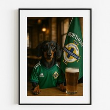 Dachshund In Northern Ireland