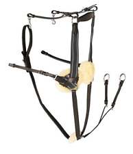 Rhinegold Leather 5 Point