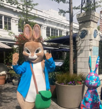 Adult PETER   RABBIT Mascot