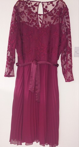 Coast burgundy lace pleated - burgundy,
