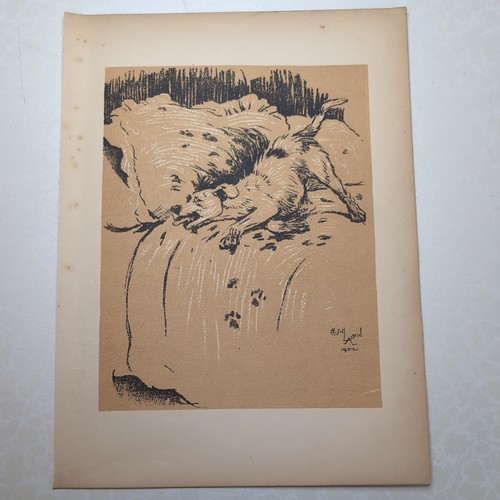 Original 1904 antique - antique, dog