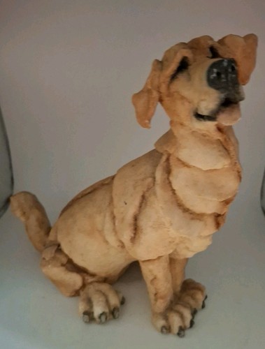 Breed apart golden - golden, retriever