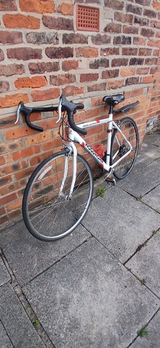 Woodworm racer bike medium - racer,