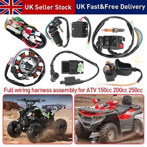 Cdi wire harness - harness, wiring