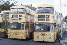 Bus Photo - Yellow Buses Bournemouth XRU278K & SEL241H two shot