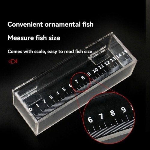 1pc portable fish - fish, viewing
