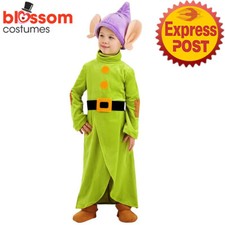 N1575 Boys Dopey Costume Child