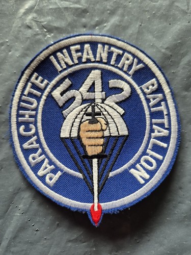 542d parachute infantry - 542d,