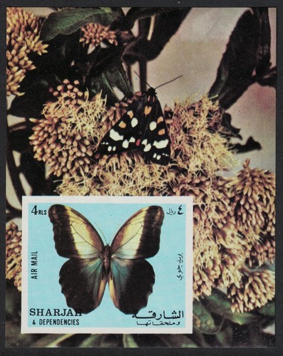 Sharjah butterfly 1971 mnh - ms,