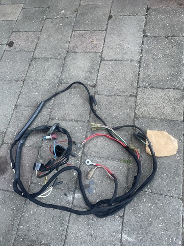 Bsa b40wd new wiring - , loom