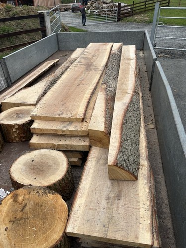 Oak and larch - oak, fencing
