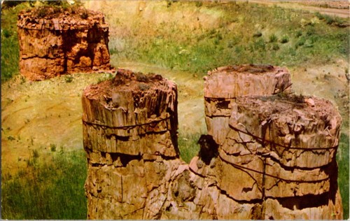 Florissant postcard - florissant, co