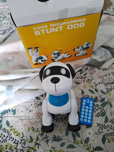 Voice programming stunt dog - voice,