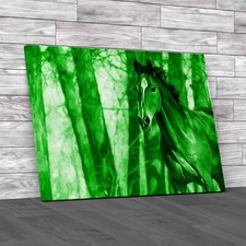 Stunning Horse Portrait