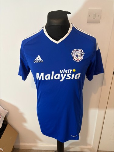 Cardiff city 2016 - city, 2016-17