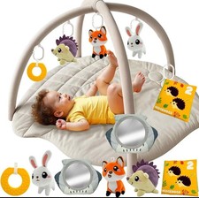 Acorn Baby Play Gym Mat with 6