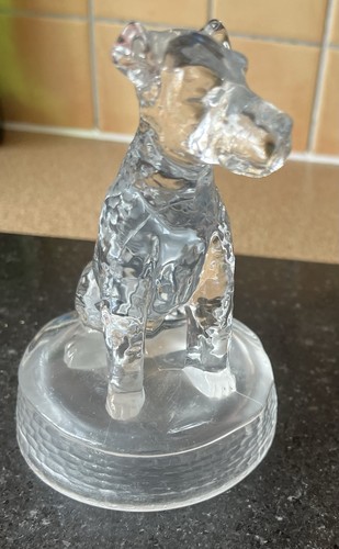 Glass fox welsh terrier - fox/welsh,