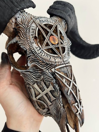 Real ram skull - , horns