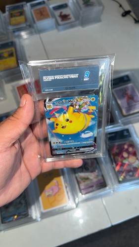 Pokémon pikachu flying - pikachu,