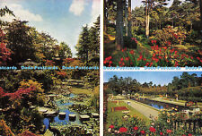 D146232 Japanese Garden. Stepping Stones. Woodland Glen and Italian Garden. Comp