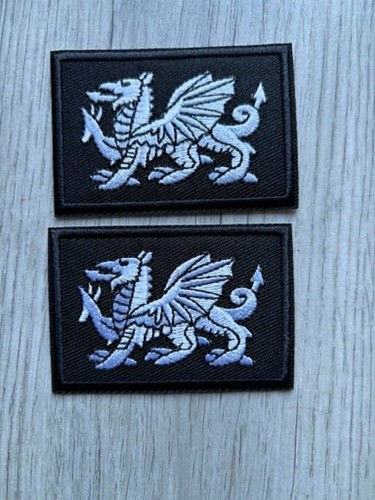 Wales welsh dragon - wales,