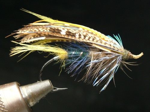 Irish pattern gut eyed salmon