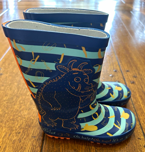 The gruffalo unisex kids - the,