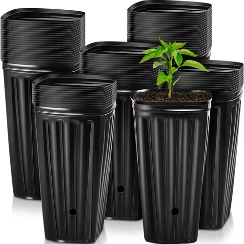 Tall square nursery - square, pots