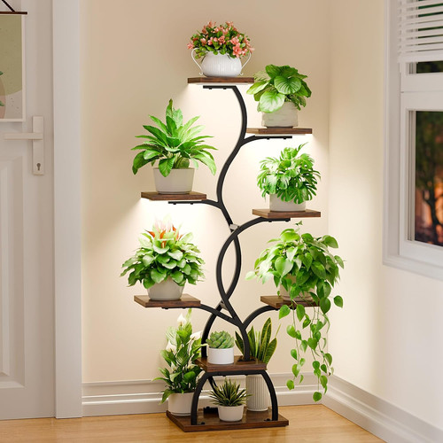Plant stand indoor with grow - plant,