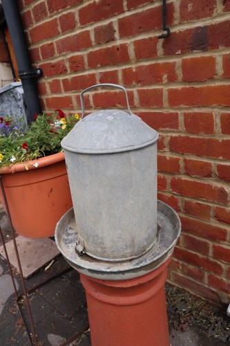 Vintage galvanised chicken - vintage,