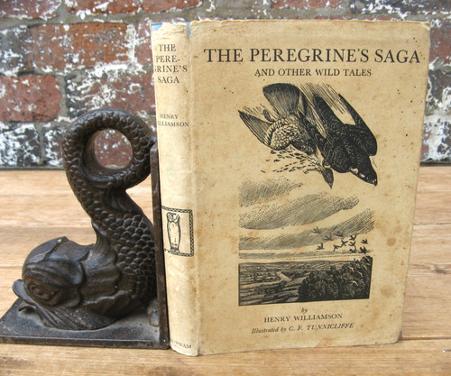 1946 the peregrine saga - 1946, saga-