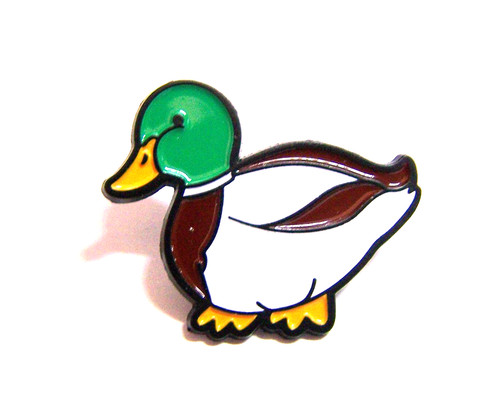 Beautiful mallard duck - beautiful,