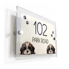 Shih Tzu Dog Puppy Cream
